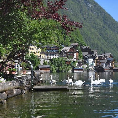 Gasthof Simony Hallstatt B&B Exterior foto